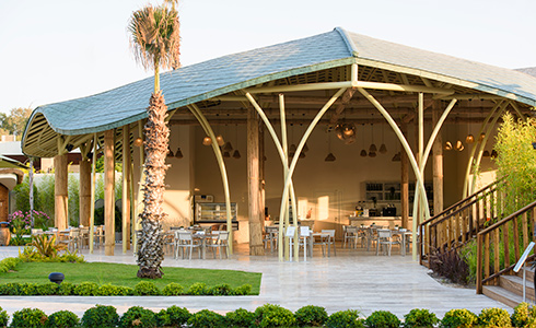 Caretta Snack Restaurant Card
